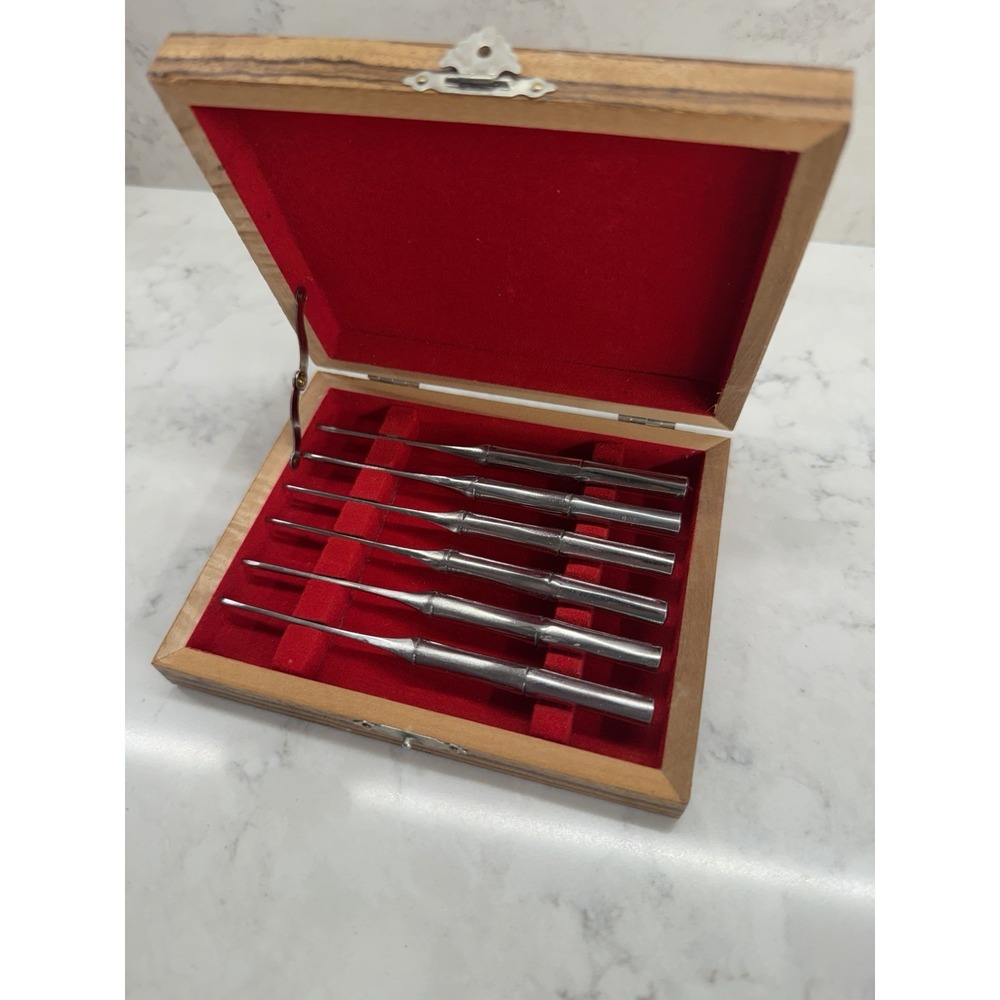 Vintage Viking MCM Bamboo Cocktail Forks Set 6 Stainless Steel Japan W/ Box